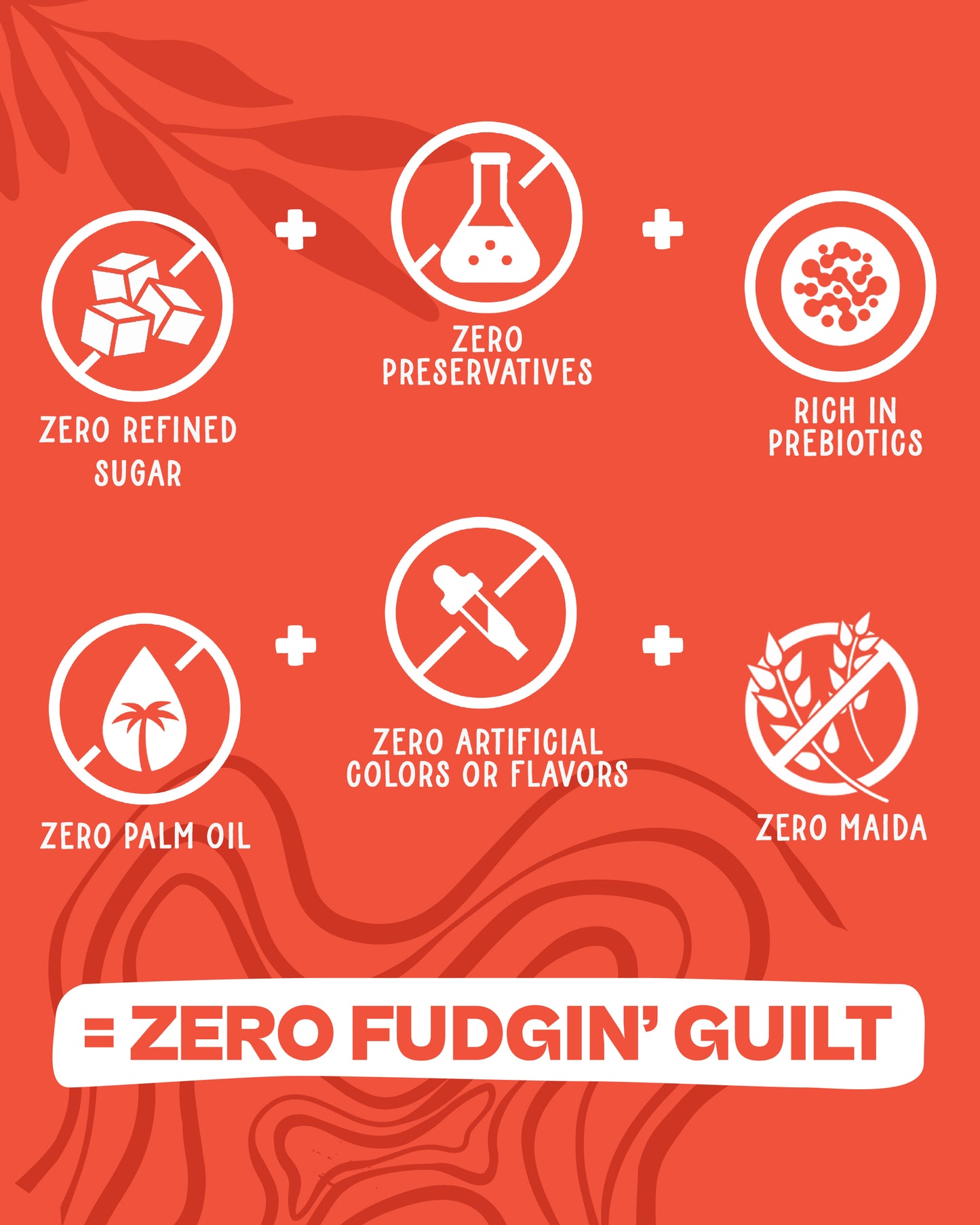 Mocha Chocolate Fudgy Cake (Pack of 12)